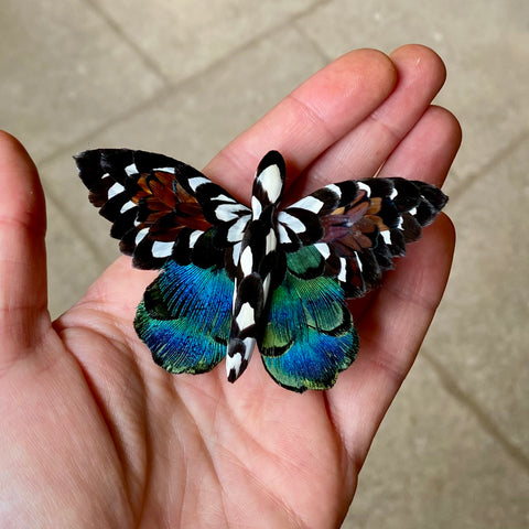 Papillon