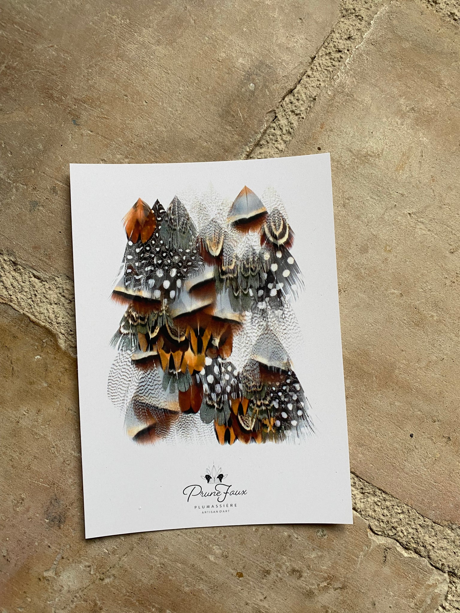 Cartes de vœux