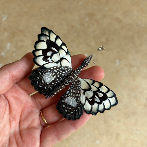 Broche papillon