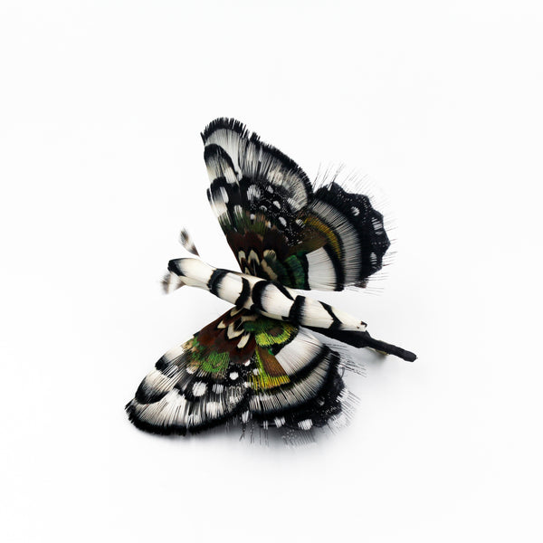 Broche papillon