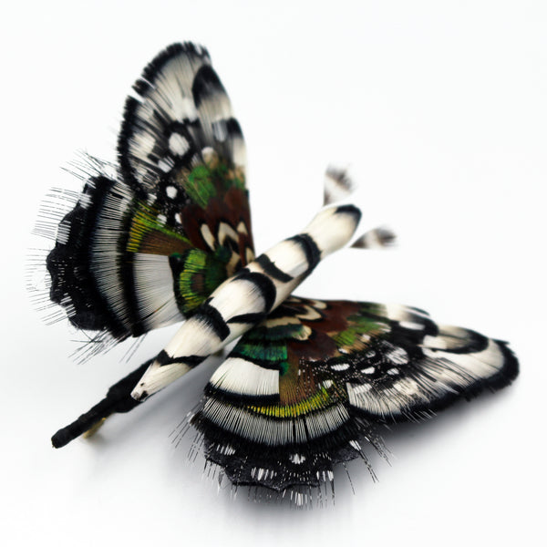 Broche papillon