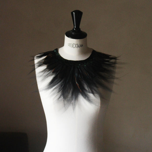 Plastron paradis