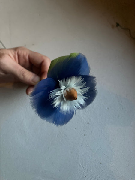 Atelier de plumasserie