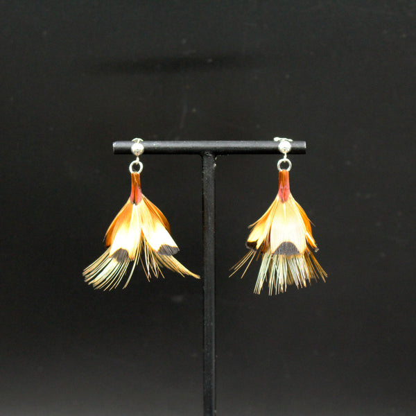 Boutons d'or