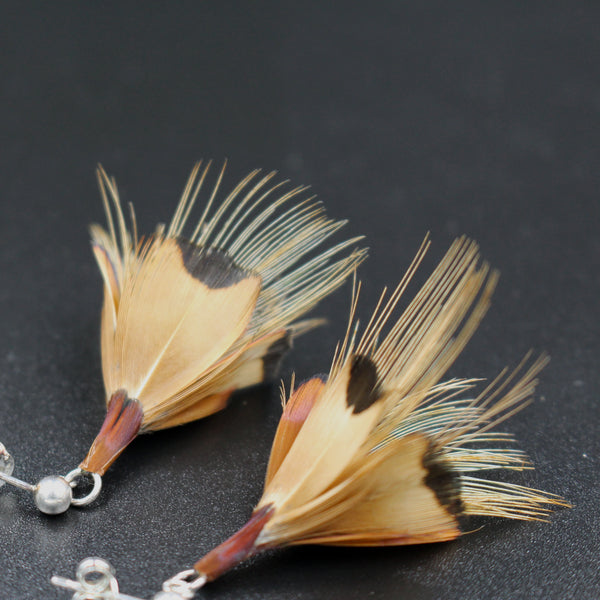 Boutons d'or